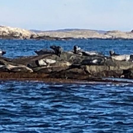 Ostello Marinan Richters Fjällbacka Esterno foto